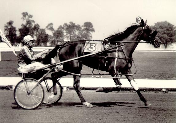 Horses; Harness Racing; Race Scenes; Horse and driver (Unidentified)