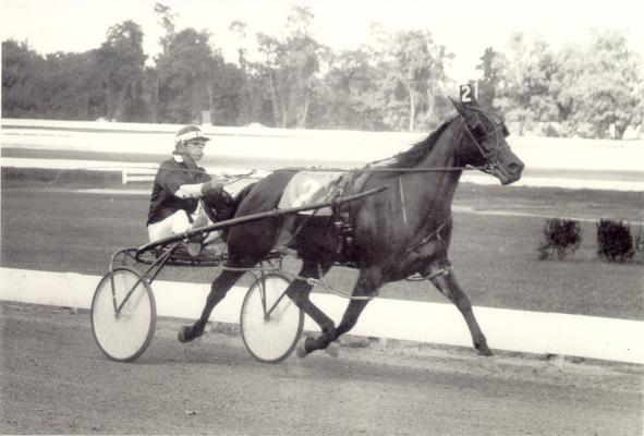 Horses; Harness Racing; Race Scenes; Horse and driver (Unidentified)