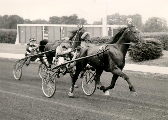 Horses; Harness Racing; Race Scenes; Two horses racing