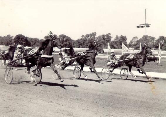 Horses; Harness Racing; Race Scenes; Three horses take the lead