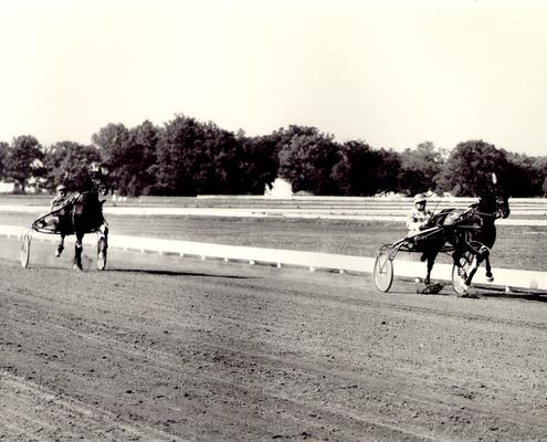 Horses; Harness Racing; Race Scenes; Two horses warming up