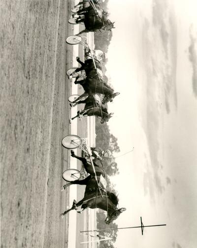 Horses; Harness Racing; Race Scenes; Horse #2 takes the lead