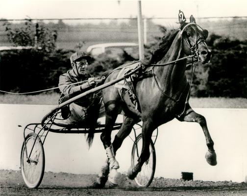 Horses; Harness Racing; Race Scenes; Horse and driver (Unidentified)