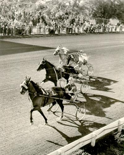 Horses; Harness Racing; Race Scenes; Three horses going past the crowd