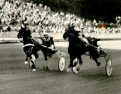 Horses; Harness Racing; Race Scenes; Two horses side by side