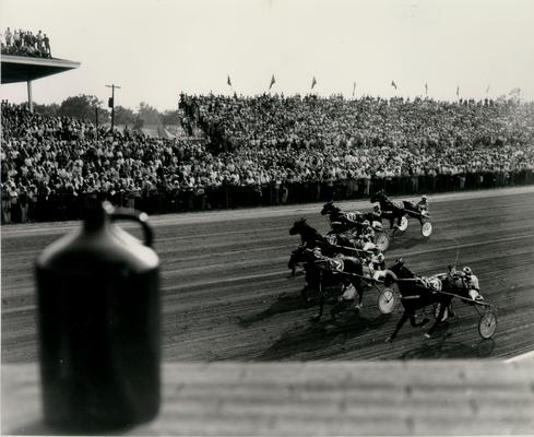 Horses; Harness Racing; Race Scenes; Five horses racing past the grandstands