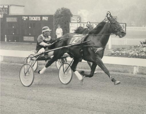 Horses; Harness Racing; Race Scenes; Horse and driver (Unidentified)