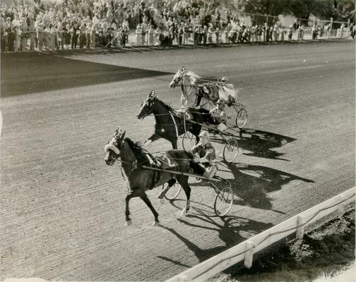 Horses; Harness Racing; Race Scenes; Three horses on the track