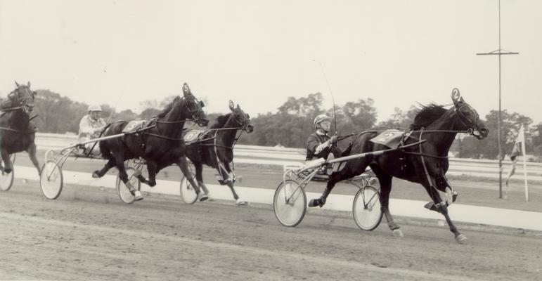 Horses; Harness Racing; Race Scenes; Horse #2 takes the lead