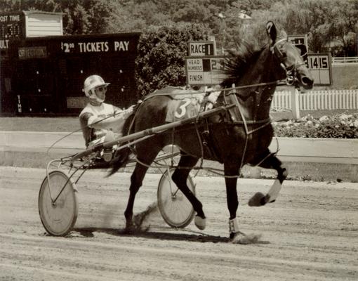 Horses; Harness Racing; Race Scenes; Horse and driver (Unidentified)