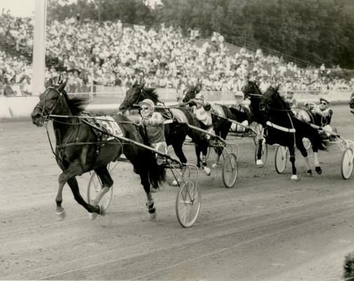 Horses; Harness Racing; Race Scenes; Five horses pulling ahead