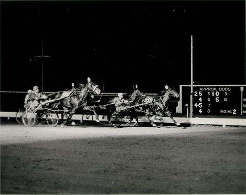 Horses; Harness Racing; Race Scenes; A horse race at night