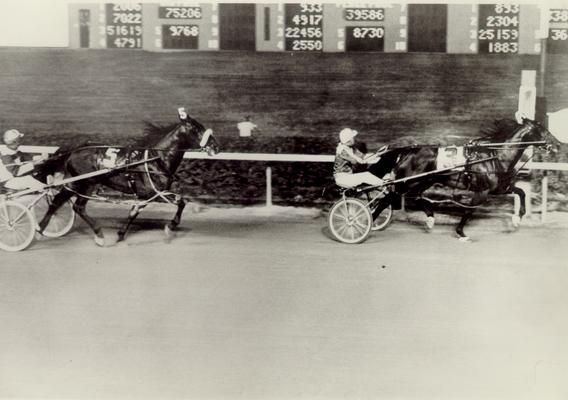 Horses; Harness Racing; Race Scenes; Blurry photo of two horses racing