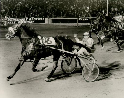 Horses; Harness Racing; Race Scenes; Horse #6 in the lead