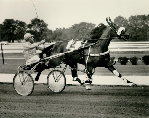 Horses; Harness Racing; Race Scenes; Horse and driver (Unidentified)