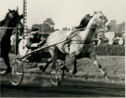 Horses; Harness Racing; Race Scenes; Two blurry horses racing