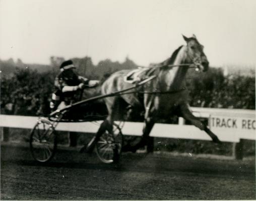 Horses; Harness Racing; Race Scenes; Horse and driver (Unidentified)