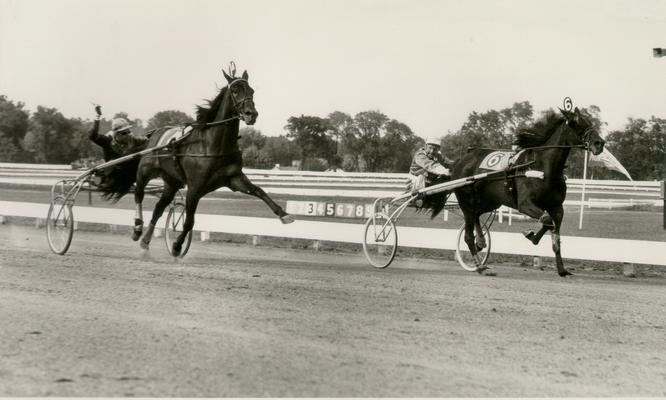 Horses; Harness Racing; Race Scenes; Two horses racing side by side