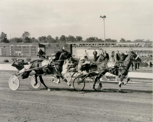 Horses; Harness Racing; Race Scenes; Spectators watch three horses race