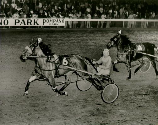 Horses; Harness Racing; Race Scenes; A race at Pompano Park