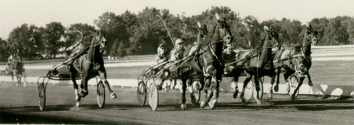 Horses; Harness Racing; Race Scenes; Several horses racing