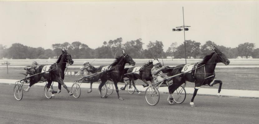 Horses; Harness Racing; Race Scenes; Four horses running in a race