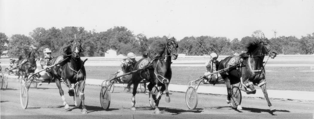 Horses; Harness Racing; Race Scenes; Horses in a race