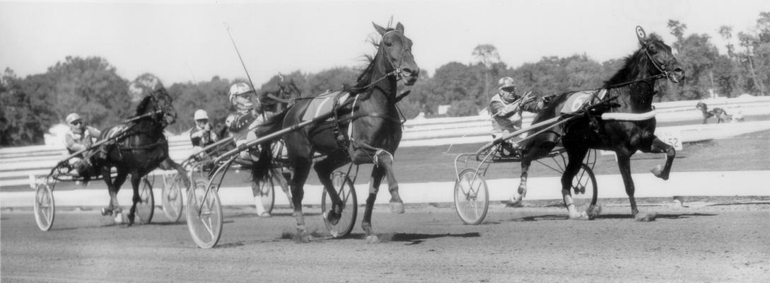 Horses; Harness Racing; Race Scenes; Harness racing scene