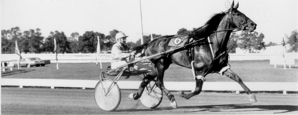 Horses; Harness Racing; Race Scenes; Horse and driver (Unidentified)