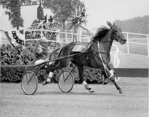 Horses; Harness Racing; Race Scenes; Horse and driver (Unidentified)