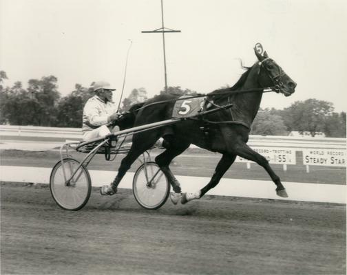 Horses; Harness Racing; Race Scenes; Horse and driver (Unidentified)