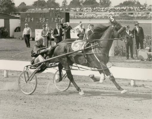 Horses; Harness Racing; Race Scenes; Horse and driver (Unidentified)