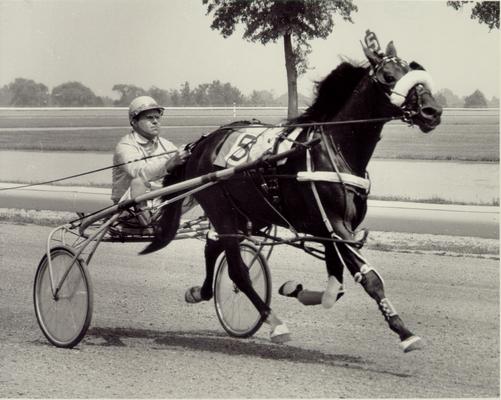 Horses; Harness Racing; Race Scenes; Horse and driver (Unidentified)