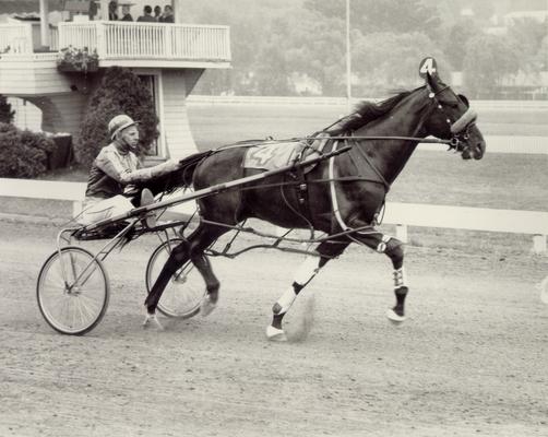 Horses; Harness Racing; Race Scenes; Horse and driver (Unidentified)