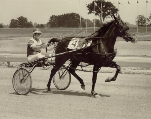 Horses; Harness Racing; Race Scenes; Horse and driver (Unidentified)