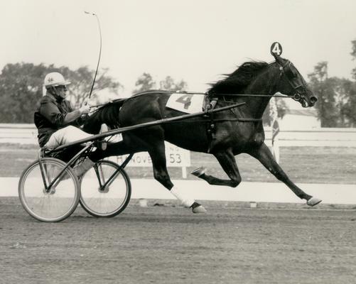 Horses; Harness Racing; Race Scenes; Horse and driver (Unidentified)