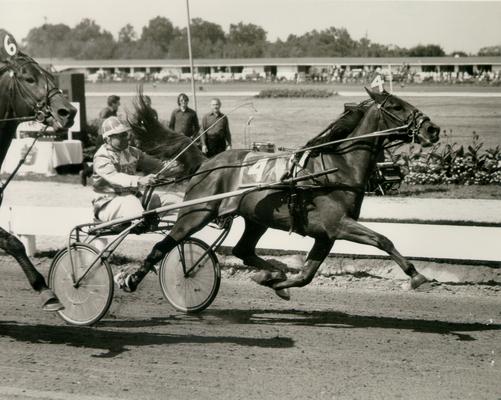 Horses; Harness Racing; Race Scenes; Horse and driver (Unidentified)