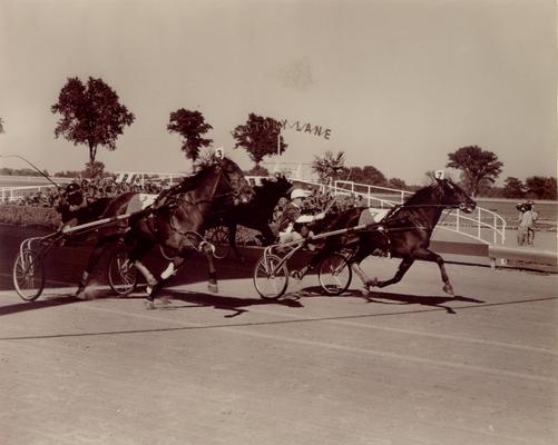 Horses; Harness Racing; Race Scenes; Horses race past victory lane