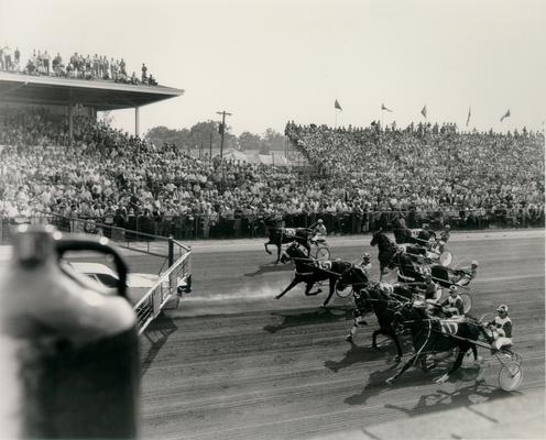 Horses; Harness Racing; Race Scenes; A huge crowd watches the race