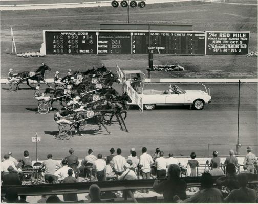 Horses; Harness Racing; Race Scenes; A white car leads the horses down the track