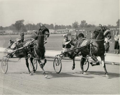 Horses; Harness Racing; Race Scenes; Harness racing scene