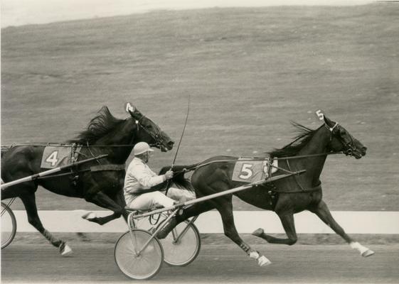 Horses; Harness Racing; Race Scenes; Horse #4 is gaining on #5