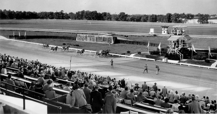 Horses; Harness Racing; Race Scenes; Harness horses racing towards the finish line