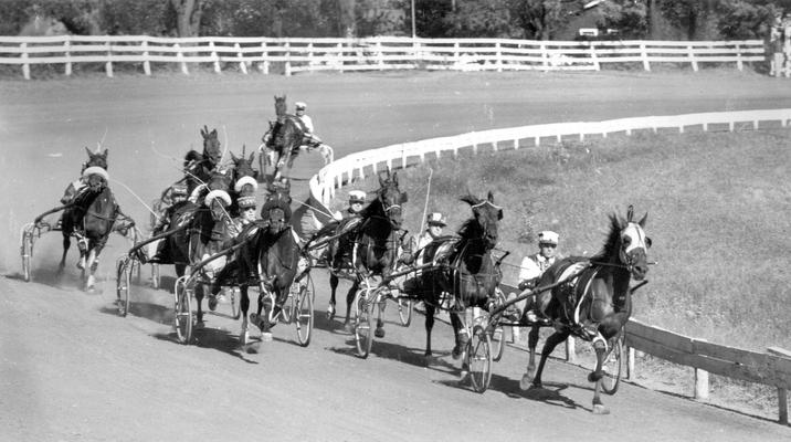 Horses; Harness Racing; Race Scenes; Harness horses racing on the track