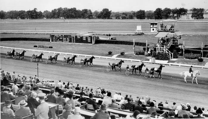 Horses; Harness Racing; Race Scenes; Harness horses on track are parading in single file line