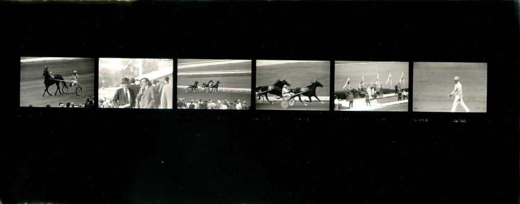 Horses; Harness Racing; The Red Mile; Six harness racing scenes