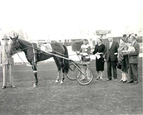 Horses; Harness Racing; Winner's Circle; Carlene Hanover and owners in the Winner's Circle