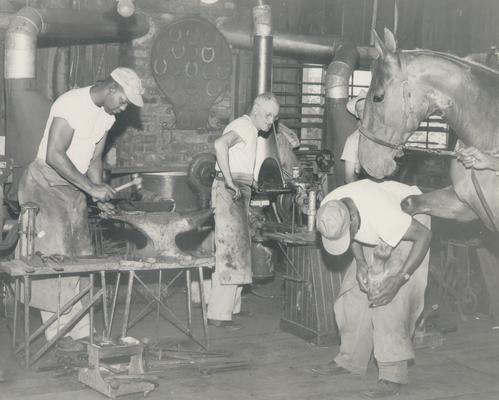 Horses; People Working with Tack and Horse Accessories; Men shoeing horses at a 1953 horse show