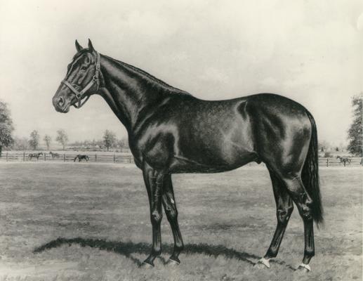 Horses; Sketches, Paintings, and Sculptures; Drawing of a horse standing in a field