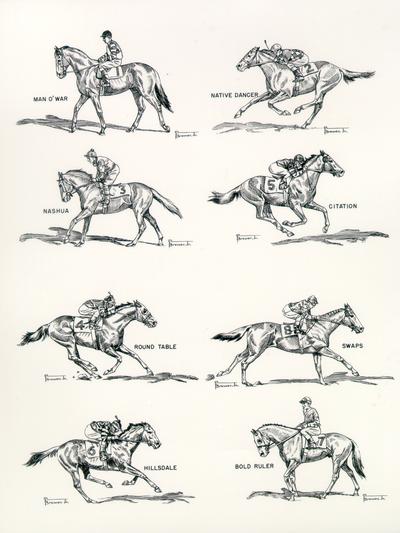 Horses; Sketches and Paintings by Brewer; Sketch of eight horses, including Man O'War, Nashua, Citation, and others
